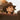 Hillbetty Rodeo Earrings