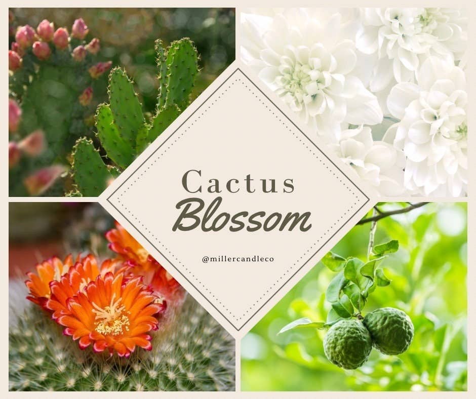Cactus Blossom Candle/Whiskey Glass Candle