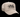 Buck Wild Hat - Cowgirl Charm