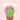 Christmassy Cactus, The : Beth Ferry - Cowgirl Charm
