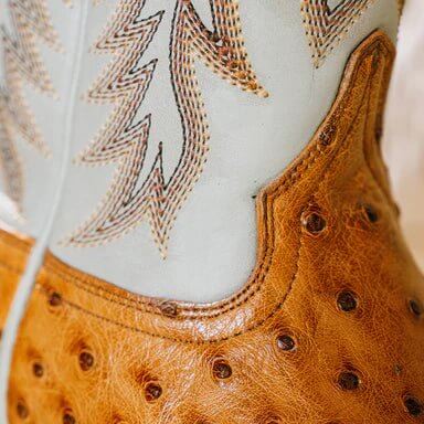 HYER Harper boots featuring a sleek design, ankle-high silhouette, and stylish laces, perfect for casual or dressy outfits.