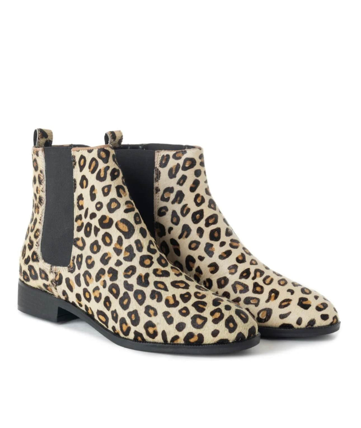Cowgirl Charm Myra Dandy Booties featuring stylish leather ankle boots with a pointed toe and decorative stitching.