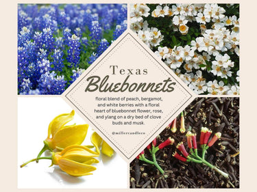Texas Bluebonnets Candle - Cowgirl Charm